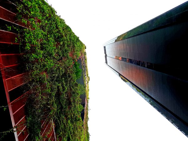 greening buildings: green is the new grey