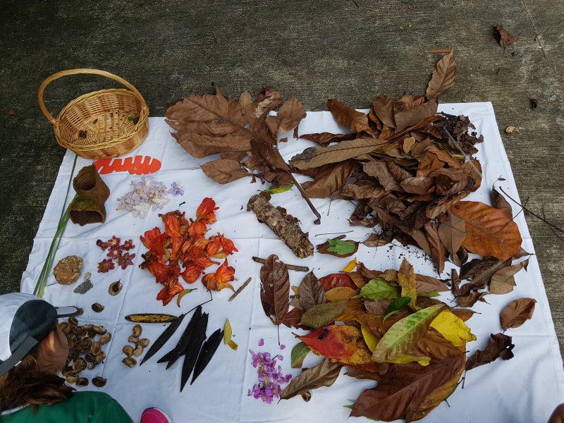 land art workshops