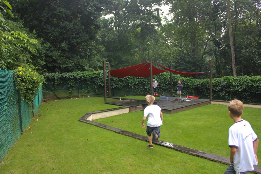 the jungle arena