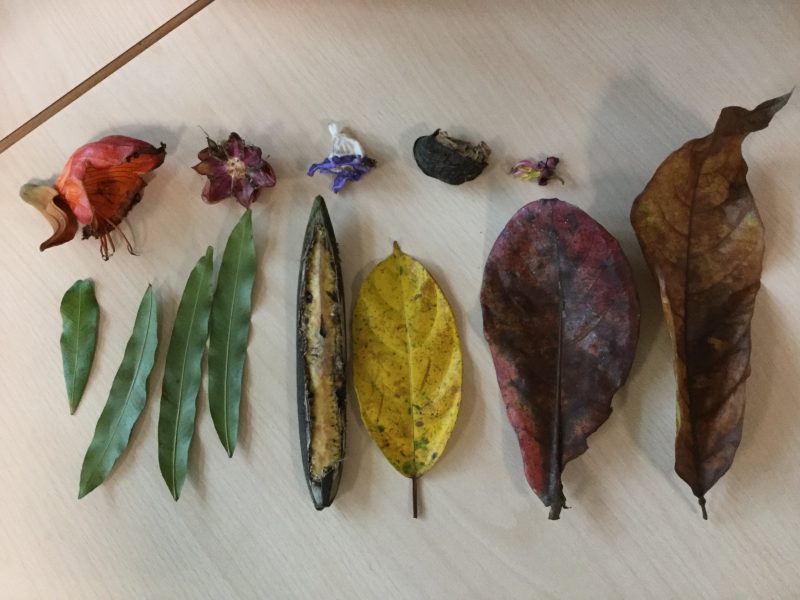 land art workshops