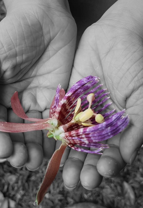 Flower-hands